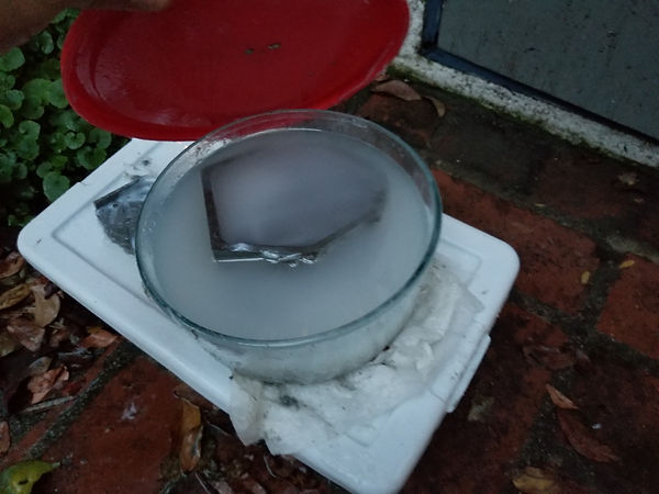 20190213_173530.jpg
