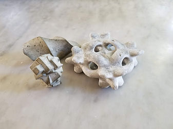 20190309_074352.jpg