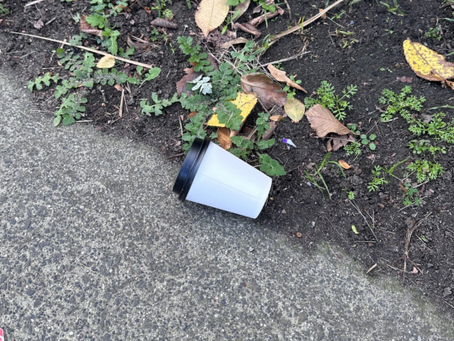 Littered takeaway coffee cup