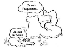 Fusion Pneu Laurent - MFPM SUD signe après consultation des salariés !