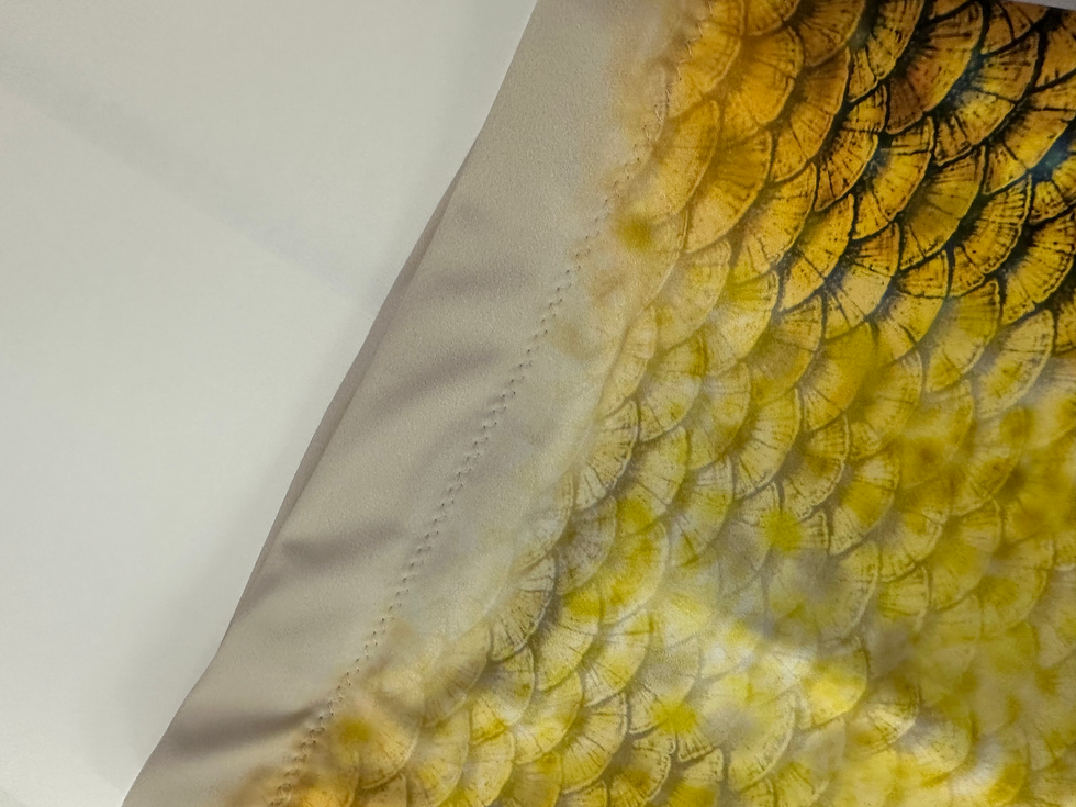 Thumbnail: Salt Lake Tail 