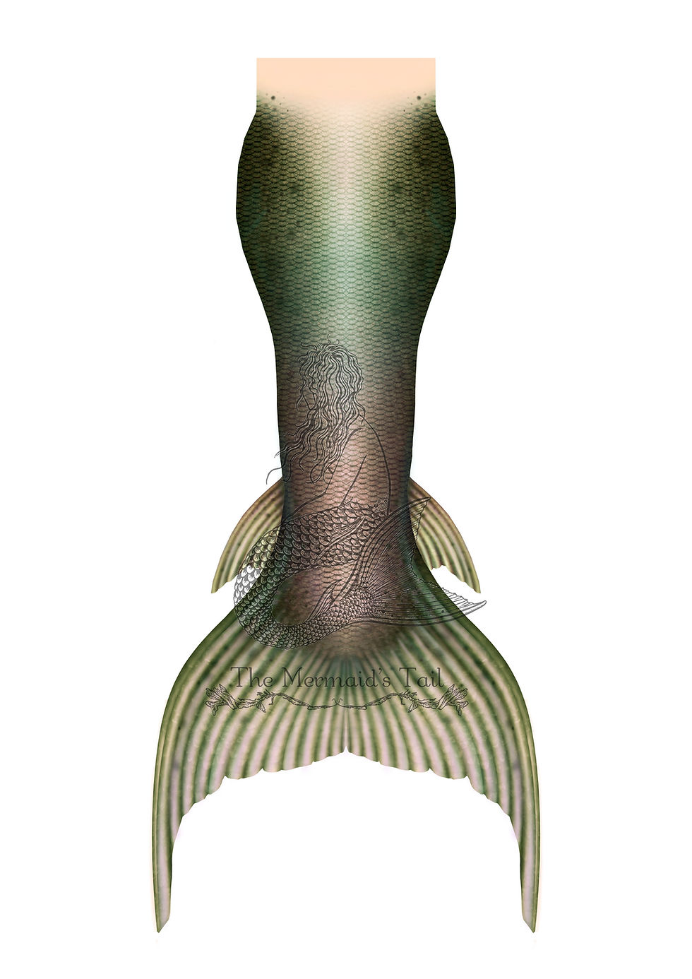 Thumbnail: Derbyshire Tail