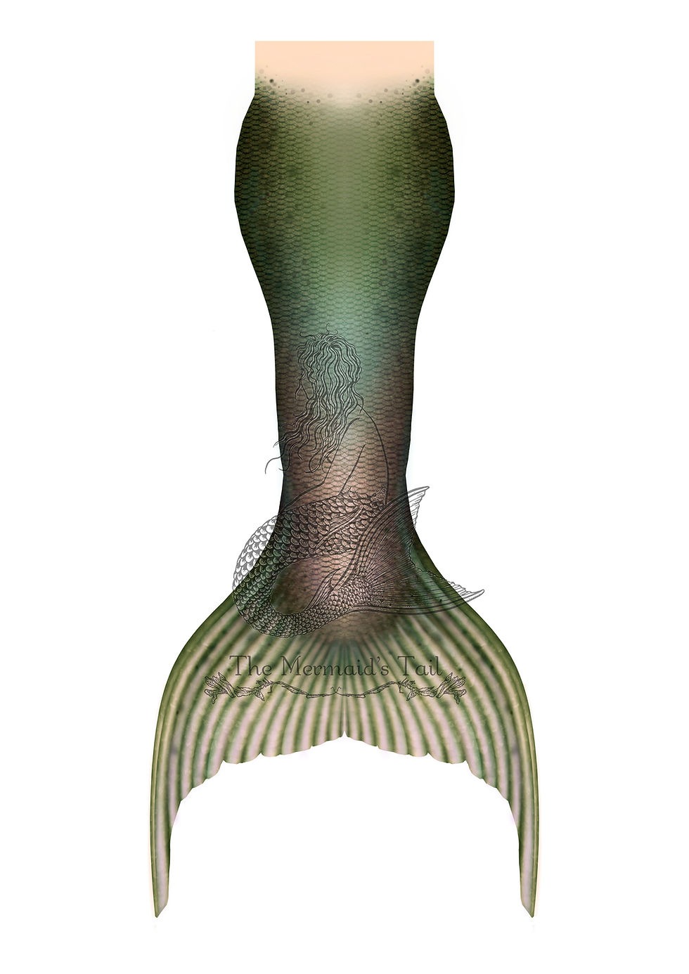 Thumbnail: Derbyshire Tail