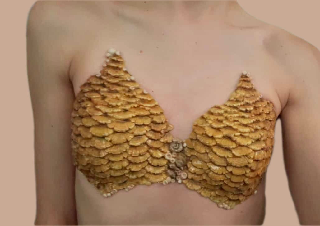 Crosslyn Silicone Scale Bra