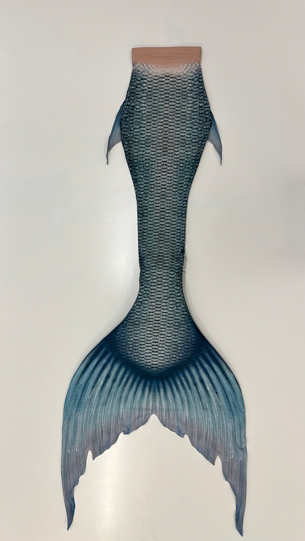 Thumbnail: Kent Tail