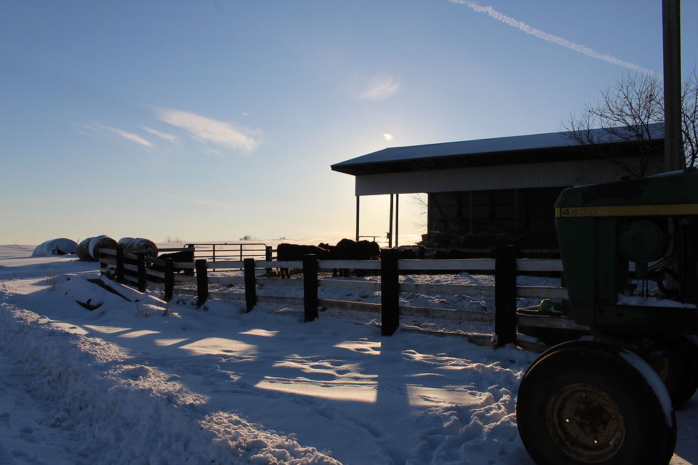 Growing up with Grandma & Grandpa