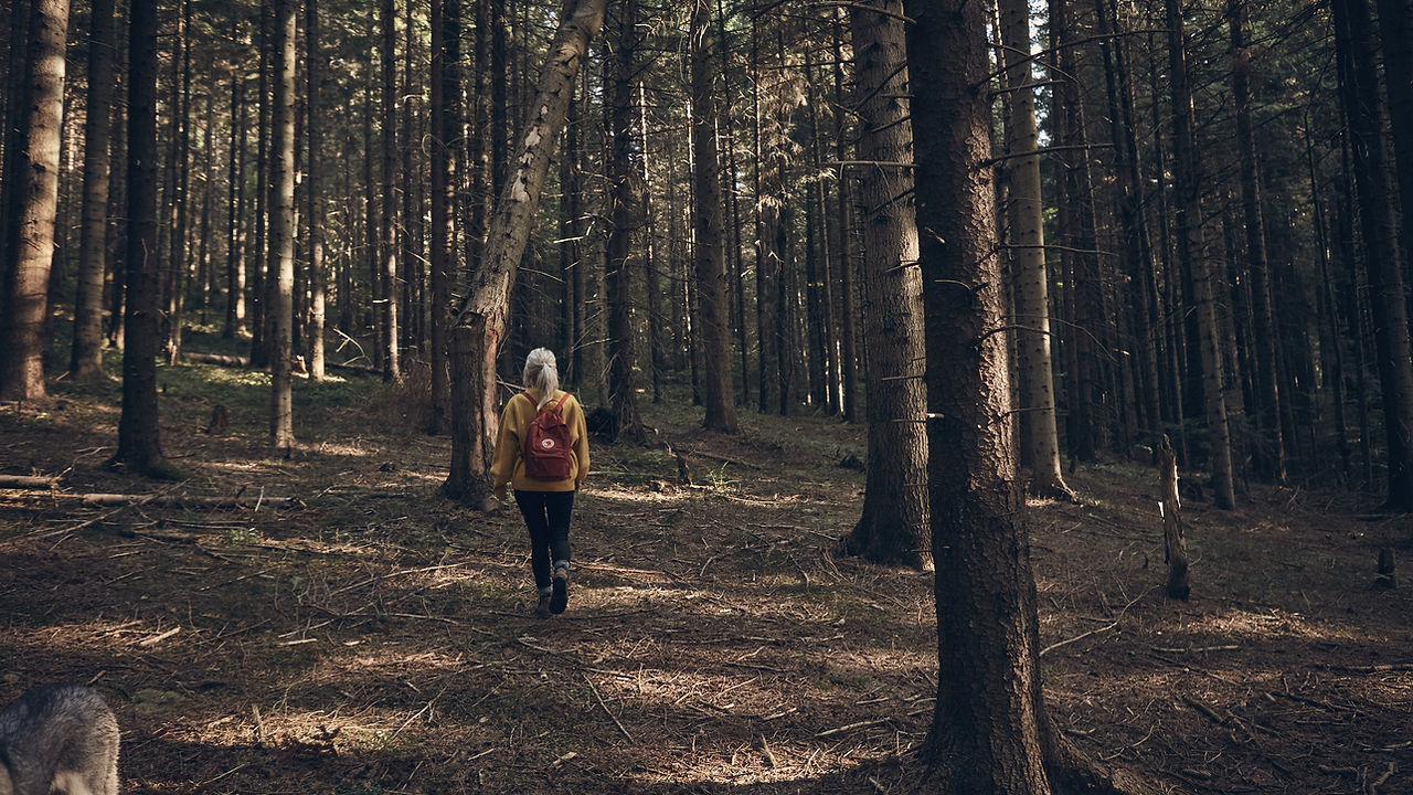 Woman Walking in Forest