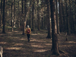 Por que você se sente sozinho na sua jornada espiritual?