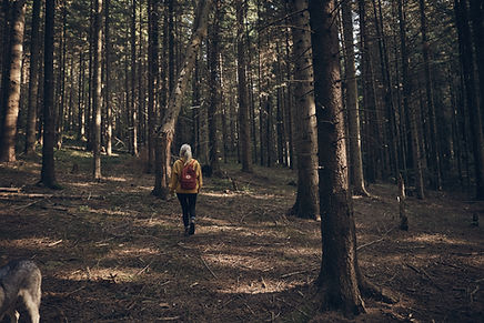 Femme qui marche en forêt