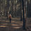 Thumbnail: Campsite Only