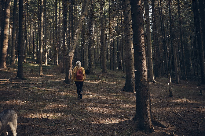Das Team von draußen daten – Wanderführer/innen für Singlewanderungen & Wandern für Alle