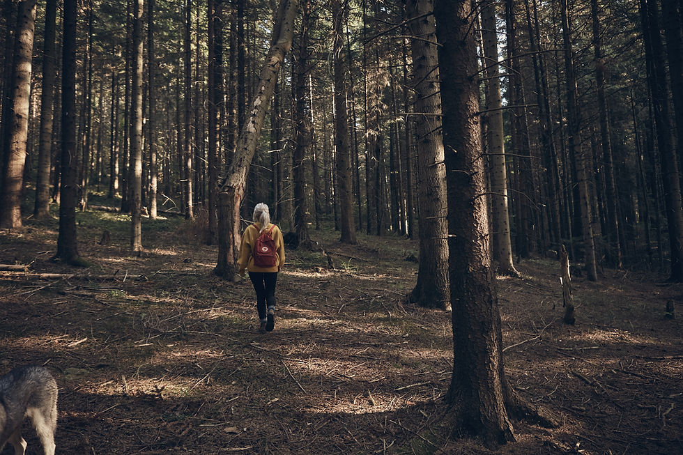 Mujer caminando en el bosque