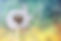 Homeopathic-Remedies-Hay-Fever-Allergic-