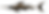 SwordFish Left.png
