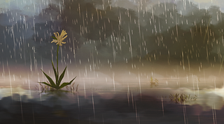 07.png
