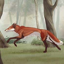 ShaneWoodsonFoxRunStill.png