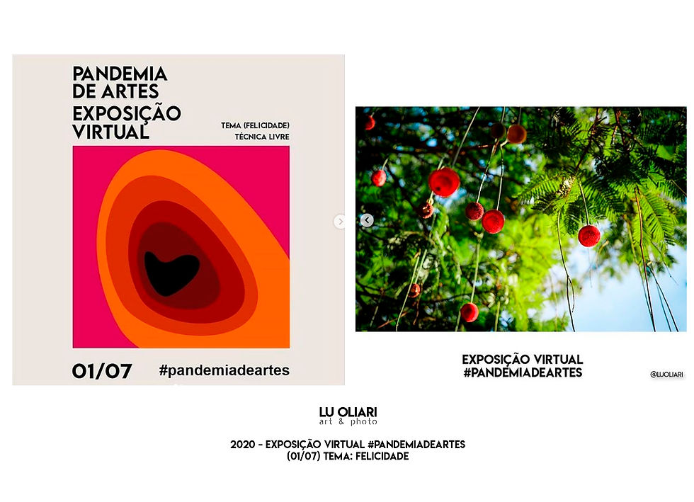 Exposição Virtual Pandemia das Artes