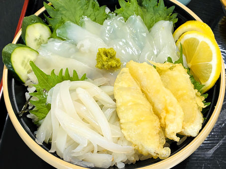アオリイカ(ヒレ)丼?只今準備中