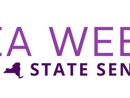 Ithaca Times: Race Heats Up for New York's 52nd State Senate District