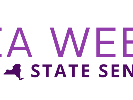 New York State Federation of Democratic Women Endorses Senator Lea Webb for Reelection to NY State Senate 