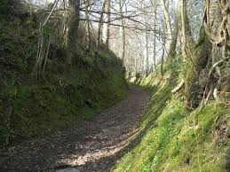 images-2