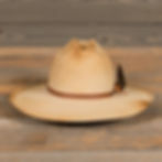 Thumbnail: The Wild Turkey