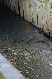 rio_Sarapuí_SãoJoão.jpg