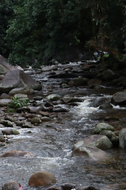 Rio Soberbo- Guapimirim.JPG