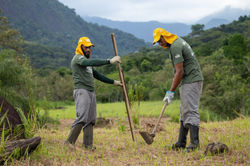 galeria_de_fotos_08