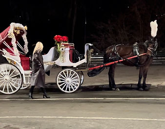 central park horse and carriage ride