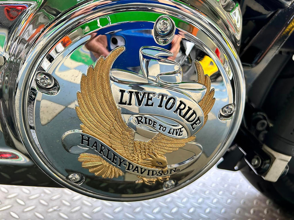 縮圖：2018 HARLEY DAVIDSON LOW RIDERS