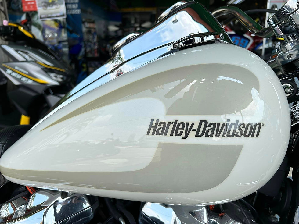 縮圖：2018 HARLEY DAVIDSON LOW RIDERS