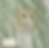 regional map.png