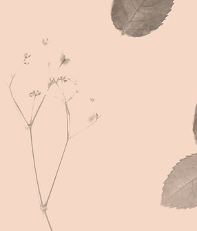 Coral Flowers_edited_edited_edited.jpg