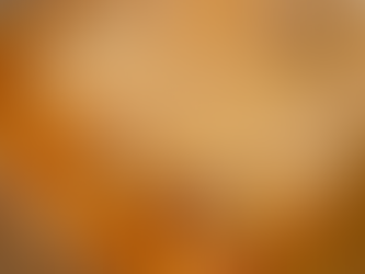 Manicotti on a plate, covered in cheese