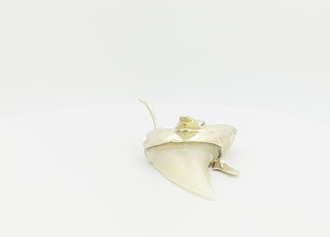 Thumbnail: Shark Tooth Mako pendant Large