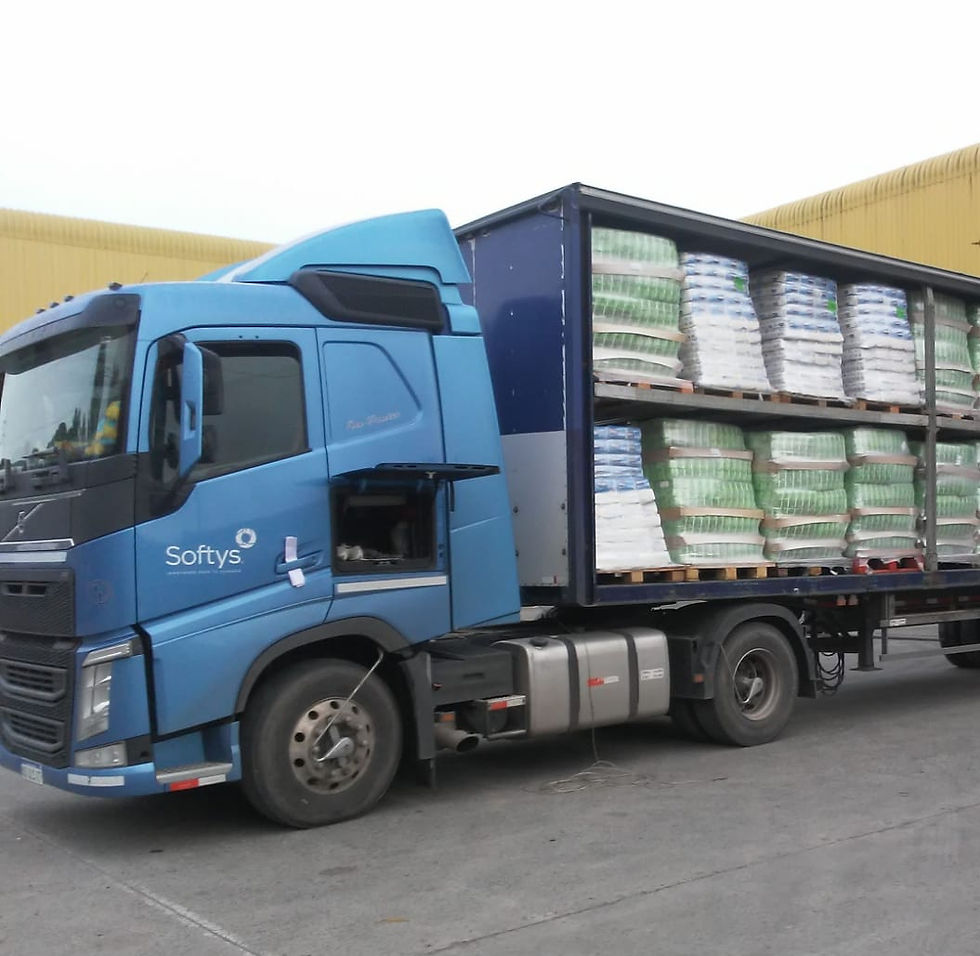 WhatsApp Image 2026-05-04 at 10_edited.jpg