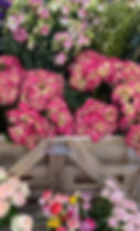 Thumbnail: Our British Seasonal Flower DIY Buckets-Jacob