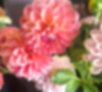 Thumbnail: Our British Seasonal Flower DIY Buckets-Jacob
