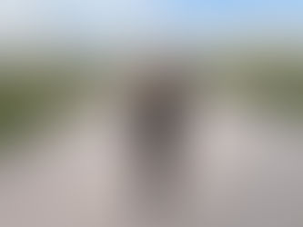 Grenke Open 2026: Tolles Ergebnis bei meinem ersten Freestyle-Turnier