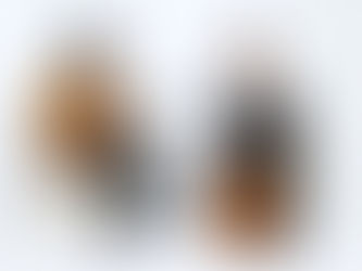 6/24(土) Duo Criollo カフェ・オクターヴ [FOLKLORE & TANGO コンサート]