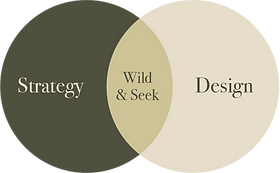 wild&seek diagram.png