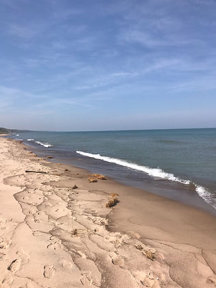 S Short beach image.jpeg