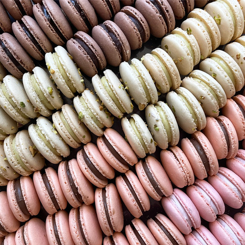 All Products Crumbs Cake Studio