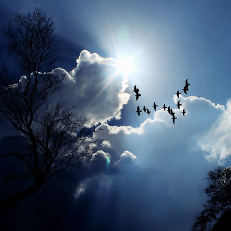 Parler aux anges. 