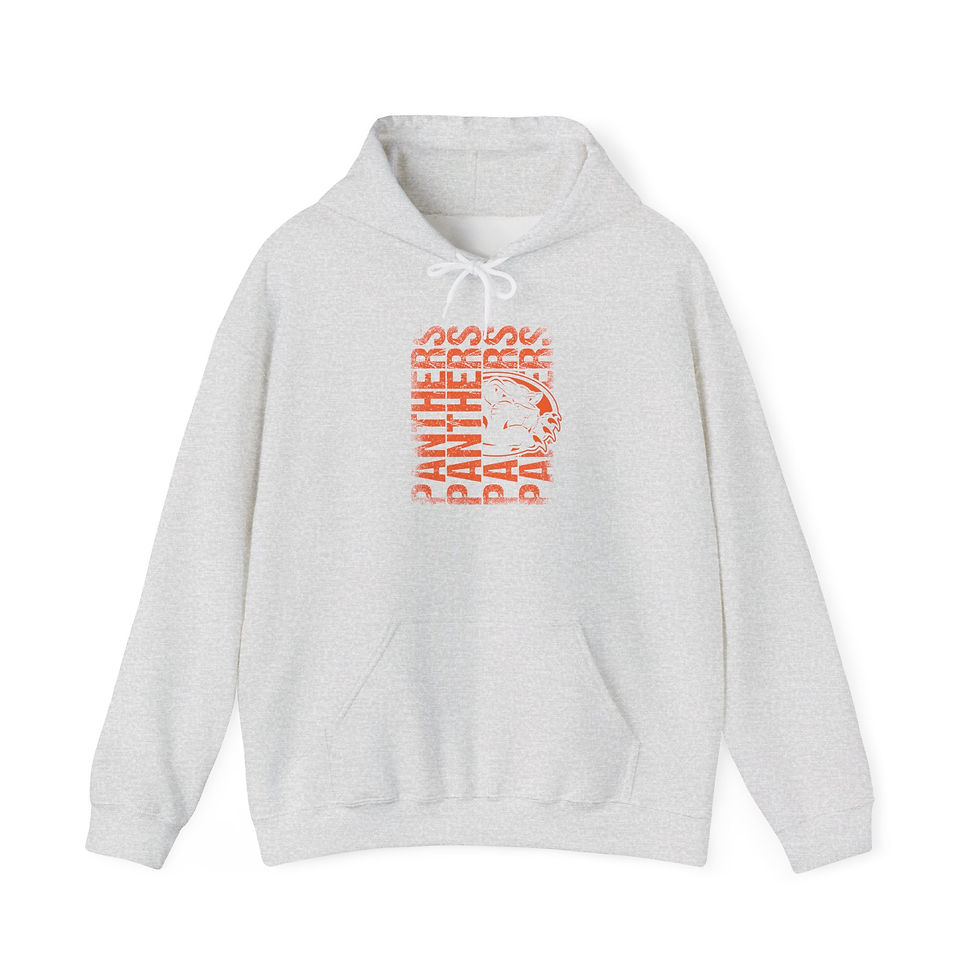 Thumbnail: Palmyra Panthers Spirit 6 Hoodie