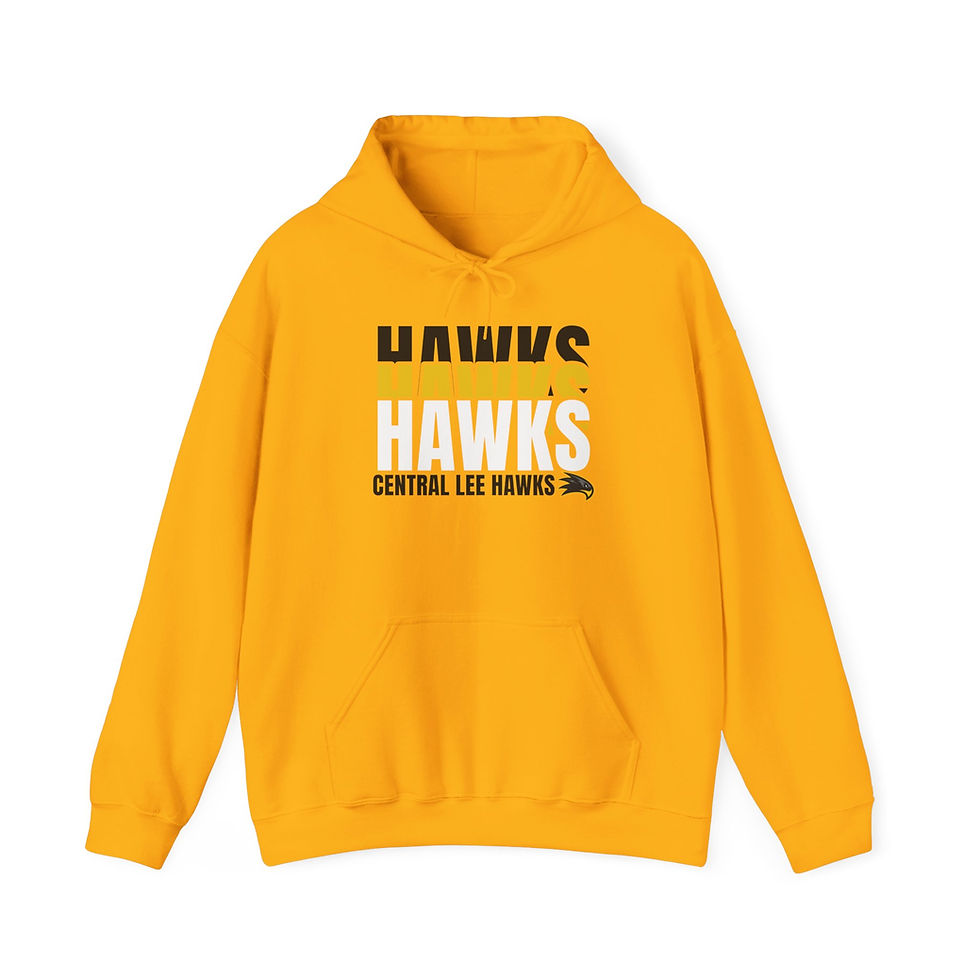 Thumbnail: Central Lee Hawks  Spirit 3 Hoodie