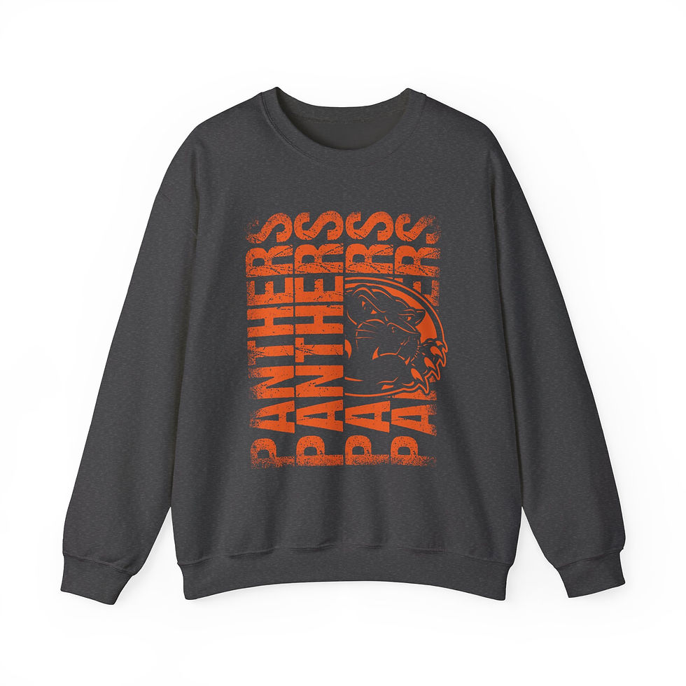 Thumbnail: Palmyra Panthers Spirit 6 Crewneck