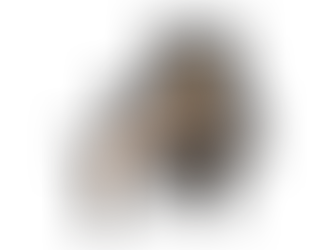 Cómo aumentar la visibilidad de tu destino turístico