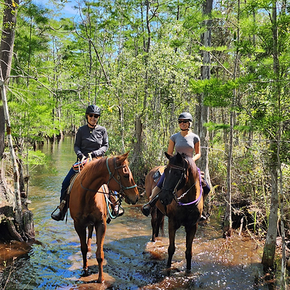 Screen Shot 2025-09-03 at 4.14.20 PM.png